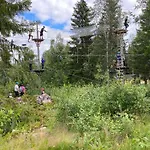 Solbjørnlia *