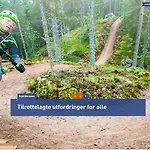 Solbjørnlia * Trysil