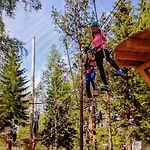 Solbjørnlia * Trysil
