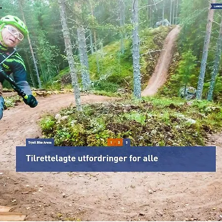 Solbjørnlia * Trysil