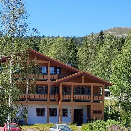 Solbjornlia