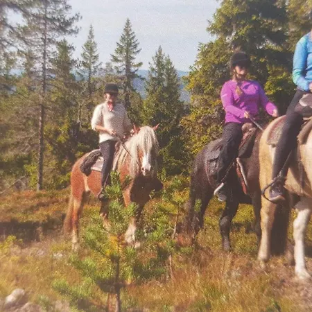 Nyaraló Solbjornlia Trysil