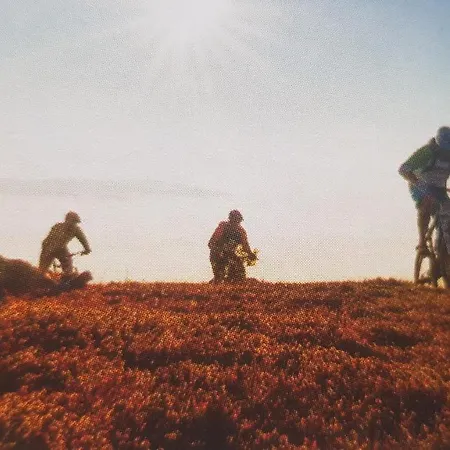 Nyaraló Solbjornlia