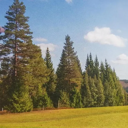 Vakantiehuis Solbjornlia Trysil
