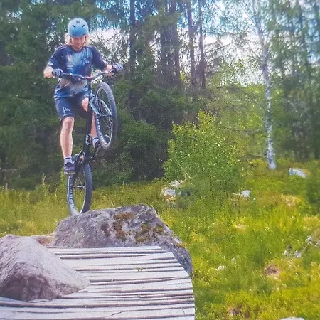 Solbjørnlia *