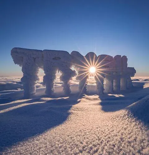 Semesterbostad Solbjornlia