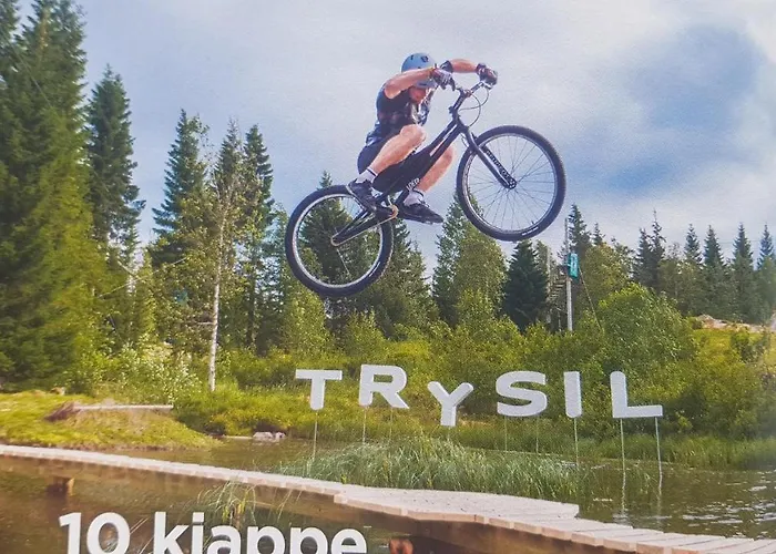 Solbjornlia Semesterbostad Trysil